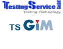 TestingServiceTSGiM.png